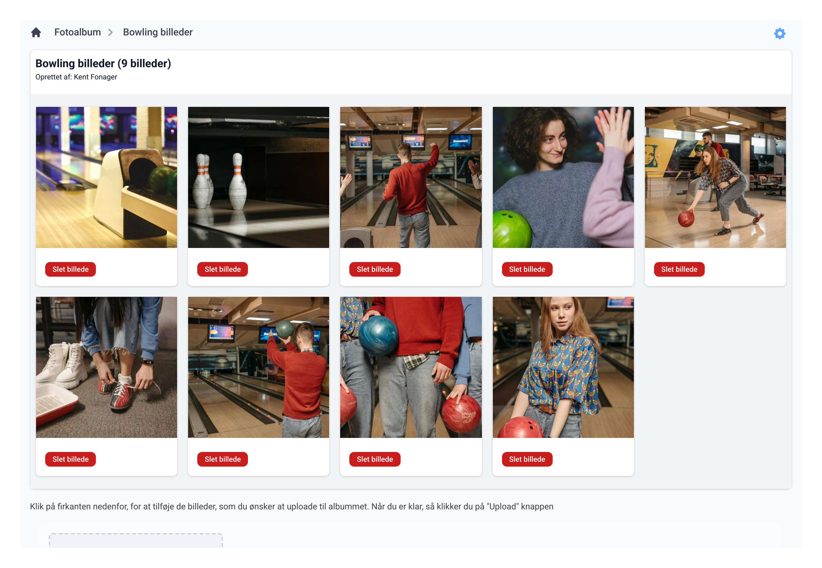 Billeder i album